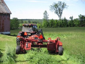Cutting hay. Grace Vanderzande/Supplied