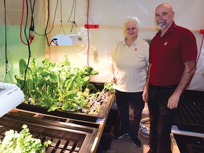 Photo by KEVIN McSHEFFREY/THE STANDARD
Salvation Army Majors Darlene and George Hastings operate the Hope Cafe in Elliot Lake. They also have a hydroponic garden where some of the vegetables they serve in the meals come from.