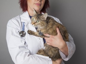 From June 13 to 24 the Ontario SPCA Renfrew County Animal Centre  is celebrating veterinary care professionals. Submitted photo