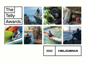 Acclaimed Beachburg-based video production company Heliconia took home seven medals from the 2022 Telly Awards.