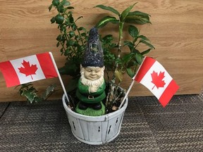 Sprint the gnome is back from his two-year hiatus to celebrate Recreation and Parks Month in Pincher Creek.