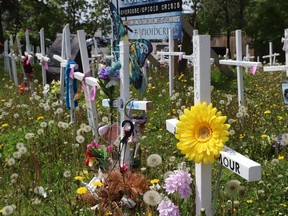 There are 238 crosses at the Crosses for Change site, at the intersection of Brady and Paris Streets. Each one commemorates a life lost to drugs or alcohol.