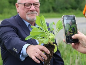 Greater Sudbury Mayor Brian Bigger kicked off Pollinator Week by adding native wildflowers to the pollinator garden at Twin Forks Community Garden in New Sudbury on June 20. The event is part of an initiative by the Greater Sudbury Pollinator Garden Project, which was launched in 2021.