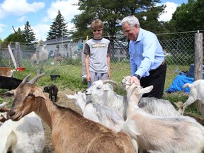 Lively District Secondary School student Connor Wilks, 15, and Nickel Belt MP Marc Serre interact with farm animals at KD Farm and Feed in Chelmsford on Wednesday. Serre was at the business to announce more than $1.6 million in funding to support youth jobs with local employers in the Nickel Belt and Greater Sudbury area. Wilks was hired by KD Farm and Feed thanks to the Canada Summer Jobs Program.