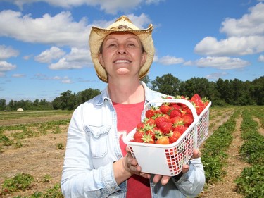 Lynn Mainville-Beach, of Beaulieu Farm in Chelmsford, displays a basket of strawberries picked at the farm on Wednesday. The business, which is owned and operated by the Mainville family for more than 25 years, will soon be open to the public for customers to pick their own berries, or select a basket of ready-picked berries. For more information, call 705-897-1301, or visit Beaulieu Farm's Facebook page.
