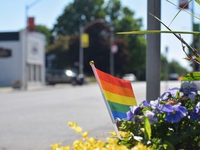 One of several rainbow Pride flags that line the main street in Norwich. The flags were replaced after several were stolen or vandalized in late May. (Calvi Leon/The London Free Press)
