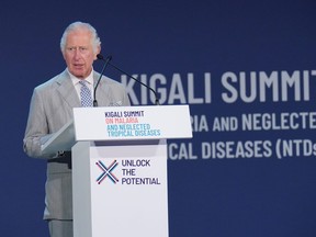 Prince Charles, Prince of Wales, speaks as he attends the Summit on Malaria and Neglected Tropical Diseases on June 23 in Kigali, Rwanda.