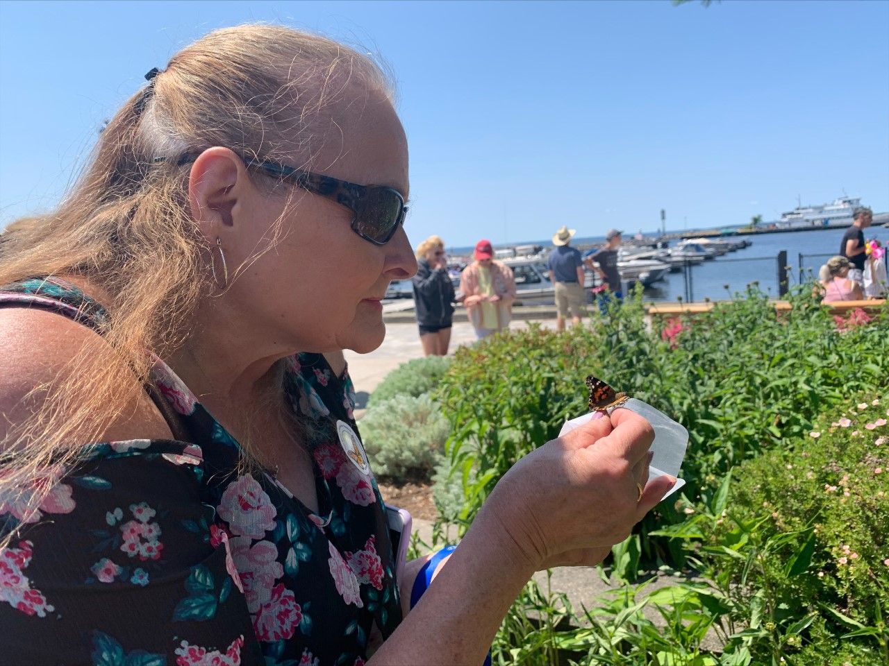 Messages from loved ones sent on the wings of butterflies | North Bay