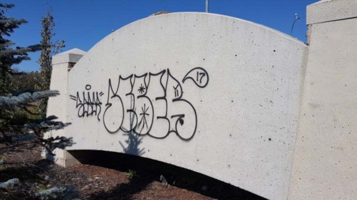 County grapples with graffiti increase | Sherwood Park News