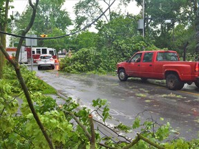 Belleville is advising city residents it is no longer collecting June 16 storm debris from roadsides in the municipality. DEREK BALDWIN