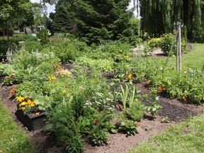 The Brantford Garden Club is celebrating its 170th year in 2022. One of the club’s recent projects is a new plot at the Stedman Hospice. The garden provides vegetables for the hospice kitchen and cut flowers to bring cheer to residents. SUBMITTED