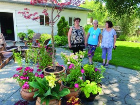 Attendess enjoy plant displays in Sherry Barody's yard as the Devon Community Garden and six private yards opened their gates Saturday, July 16 for the Devon Yard and Garden Tour (Supplied)