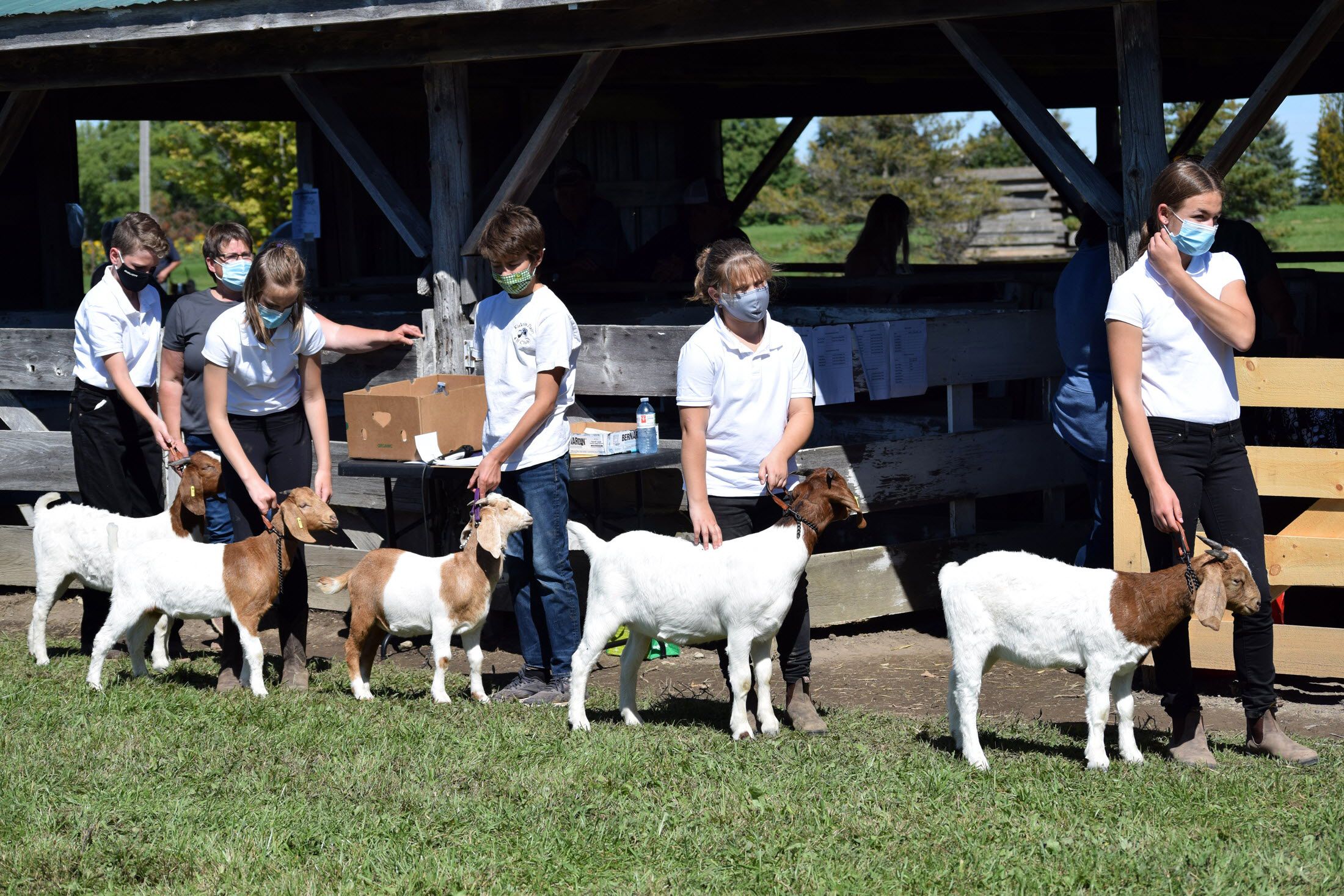 Seaforth Fall Fair returning with full offering this year Owen Sound