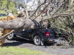 A crushed vehicle from a fallen tree from the aftermath of a suspected tornado is shown in Tweed on Monday. PHOTO BY LARS HAGBERG /THE CANADIAN PRESS