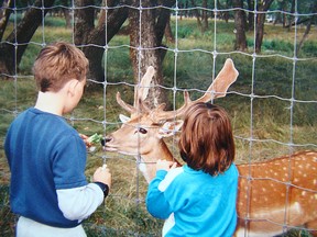 Little deer like little kids, too. (Les Green)