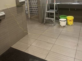 A leaky roof at World Gym in the North Bay Mall has resulted in "severe damage" to the women’s change room, the VIP plus room, the boiler room, the laundry room and the group exercise room, says gym manager Kristen Longe.