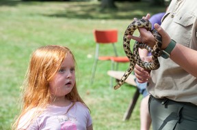 Christie LeBlanc, 7, checks out Mimic, a fox snake.  Chris Montanini/Stratford Beacon Herald