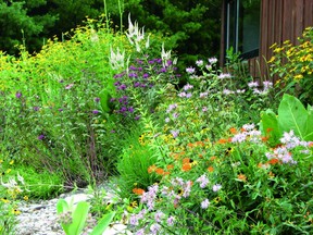 The Chatham-Kent Public Library will be host to a guest speaker in September to help residents with their fall gardening. Author Lorraine Johnson will give a virtual presentation Sept. 12 at 6 p.m. Johnson has written books called 100 Easy-to-Grow Native Plants for Canadian Gardens and A Garden for the Rusty-Patched Bumblebee: Creating Habitat for Native Pollinators, co-authored with conservation biologist Sheila Colla. (Mathis Natvik photo)