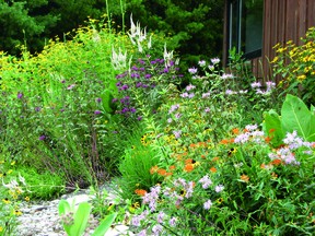 The Chatham-Kent Public Library will be host to a guest speaker in September to help residents with their fall gardening. Author Lorraine Johnson will give a virtual presentation Sept. 12 at 6 p.m. Johnson has written books called 100 Easy-to-Grow Native Plants for Canadian Gardens and A Garden for the Rusty-Patched Bumblebee: Creating Habitat for Native Pollinators, co-authored with conservation biologist Sheila Colla. Mathis Natvik photo