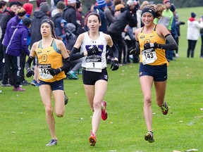 Brianna MacDougall, (142), and her sister Brogan McDougall (143) both from the Queen's Gaels, and Kristina Popadich of the Western Mustangs compete in the Ontario University Sport Cross Country Championships in London, Ontario on Saturday October 27 2018. Brogan won the eight kilometre race with a time of 28 minutes, three seconds, Branna was second at 28:34, Popadich was third at 28:41. Submitted Photo/Kingston Whig-Standard/Postmedia Network Handout Not For Resale
