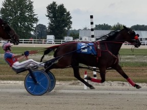 Natasha Day drives Stonebridge Bettor to victory in the third race at Dresden Raceway in Dresden, Ont., on Sunday, July 17, 2022. Day was competing in the OLG Ontario Women’s Driving Championship. (Emma Patterson Photo)