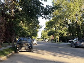 Elm trees are commonly used as shade in urban and rural areas. Loss from Dutch elm disease could have a devastating impact on the economy.
