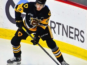 Ohsweken's Brenden Anderson and the Hamilton Bulldogs captured the Ontario Hockey League championship this season before they were beaten in the Memorial Cup Canadian championship by the Quebec Major Junior Hockey League's Saint John Sea Dogs.