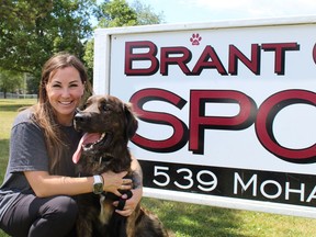 Sabre, a one-year-old Leonberger-cross up for adoption at the Brant County SPCA, spends some time with Amber Best, manager of animal care. There has been an increase in the number of dogs, cats and other animals being surrendered to the shelter. MICHELLE RUBY