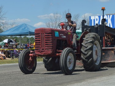 The bleachers were full at the vintage tractor pull at Farmersville on Saturday afternoon. The 41st annual exhibition presented by the Lions Club of Athens continues on Sunday.
Tim Ruhnke/The Recorder and Times