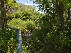 A path leading south of Rotary Lane, down to the waterfront, where homeless individuals have been seen occupying this summer by Cornwall Police Services. Pictured on Friday July 15, 2022 in Cornwall, Ont. Shawna O'Neill/Cornwall Standard-Freeholder/Postmedia Network