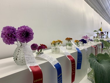 Some flowers and their awards in the Exhibition Hall on at the 2022 Avonmore Fair on Saturday July 16, 2022 in Avonmore, Ont. Shawna O'Neill/Cornwall Standard-Freeholder/Postmedia Network