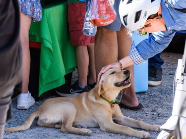A woman reaches to pet a dog during the Bragg Creek Days market in Bragg Creek on Saturday, July 16, 2022.
