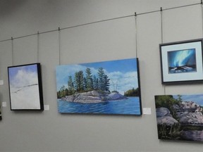 Artworks from the VAGA gallery on display at the Gananoque gallery.  Chamomile Parkinson's