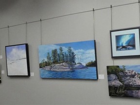 Artworks from the VAGA gallery on display at the Gananoque gallery. Chamomile Parkinson's