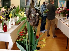 Winner of Òmost Unusual DesignÓ was this piece by Cliff Byrnes. The theme was Beauty and the Beast, with this being the side representing the Beast. This was the Gananoque Horticultural SocietyÕs first in person flower show since the beginning of the pandemic on June 11. Three categories were available for competition, with 69 classes involved.  
Lorraine Payette/for Postmedia Network