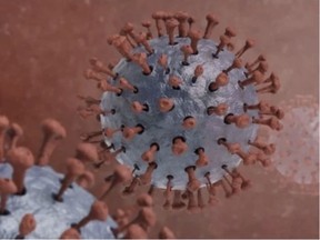 The COVID-19 virus. File graphic