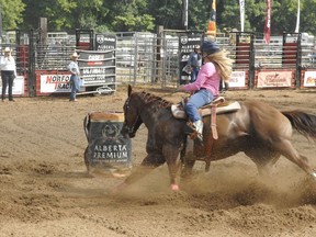 The Norfolk Ram Rodeo is returning to Timmermans Farm in Nixon for the first time since the pandemic hit.  The rodeo will be held July 16 and July 17. FILE PHOTO