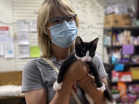 Cat rescue provider sees rising want Cat rescue provider sees rising want