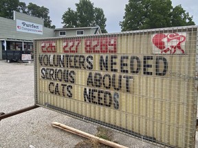 Are you serious when it comes to the needs of cats? Purrfect Companions Animal Rescue on Brantford Road in Delhi is seeking volunteers. SIMCOE REFORMER