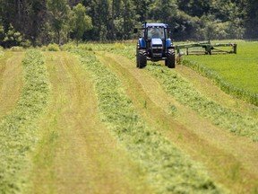Jared Lawson cuts a field of alfalfa hay in Zorra Township, in southwestern Ontario, on Wednesday July 6, 2022. Mike Hensen/The London Free Press/Postmedia Network