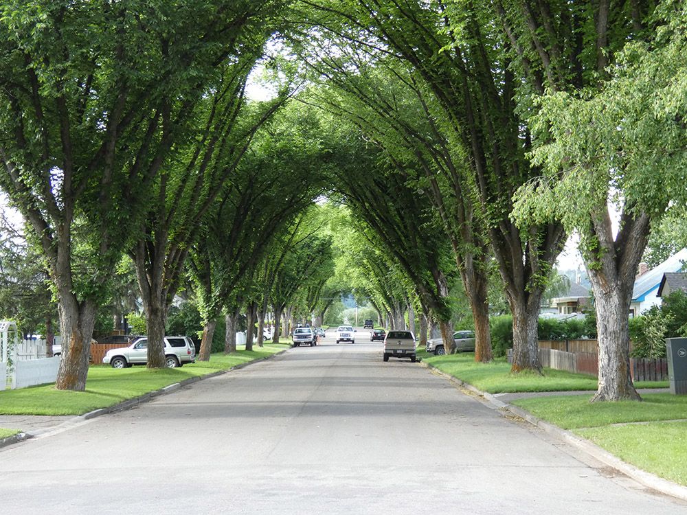 Prince housing prices expected to taper off in late 2022