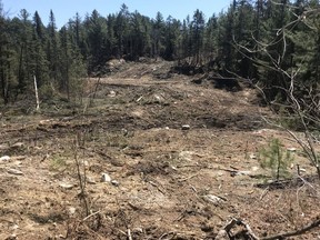 A large area has been cleared and a spruce bog has been flattened and filled between Jess Lake and Cobalt Hill, just south of Wolf Lake.
