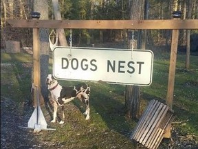 Norfolk County councillors have backed plans to commemorate Dogs Nest, one of its oldest communities.