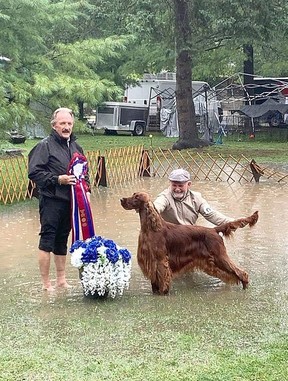 Le juge Michael Gilinas, à gauche, pose dans l'eau de pluie avec le setter irlandais Johnny et le maître-chien Will Alexander lors de l'exposition canine et du club d'obéissance Grey Bruce Kennell à Harrison Park à Owen Sound le mercredi 3 août 2022. Johnny a été nommé meilleur du spectacle mercredi. Six spectacles ont eu lieu sur trois jours dans le parc cette semaine.