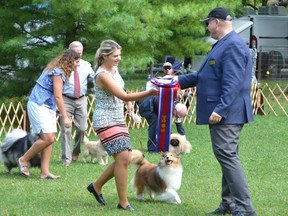 Handler Sydney Robinson receives the award for best in show for Diamond the Shetland sheepdog from jusge Stephen Dainard during the Grey Bruce Kennel and Obedience Club dog show at Harrison Park in Owen Sound on Thursday, August 4, 2022.