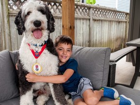 Clarke Harrison, 7, couldn’t be more proud of Krypto, his family’s sheepadoodle. Aptly named after Superman’s pet pooch, Krypto was recently recognized by pet food brand Purina after he alerted the Harrisons to a dangerous fire at their Stratford home in October 2020, less than a year after he was adopted. Chris MontaniniStratford Beacon Herald