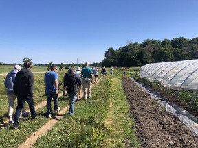 Eat Local Huron is hosting its second round of free or pay-what-you-can farm tours Aug. 13 between Seaforth and Bayfield after more than 300 guests attended the first farm crawl. Handout