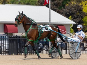 Rookie filly pacers lined up behind the gate to contest the first division of the Prospect Series in race four on the 11-race card. Submitted