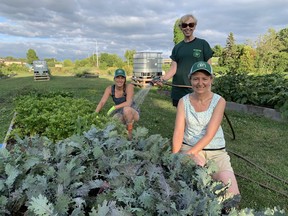 Katie MacDonald, from left,  Deborah Vickers and Sue Clark tend to one of the more than 70 garden beds at the Earl Haig Community Garden in Brantford on Tuesday night.