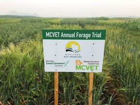 Manitoba Crop Variety Evaluation Team annual forage trial sign. (supplied photo)